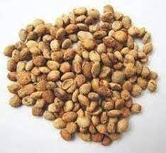 Nature Seeds Premium Kadamb Fruit Plant Seeds - Fresh and Ready to Plant Your Home Garden - Multicolor (Pack of 300 Seeds)