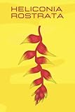 Heliconia Rostrata: Lined Notebook 120 Pages