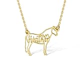 Personalized Horse Necklace - Custom Name Pendant, Equestrian Jewelry, Western Cowgirl Gift for Her