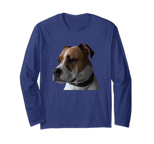 Boxador Dog Mixed Dog Boxer & Labrador Retriever Manche Longue