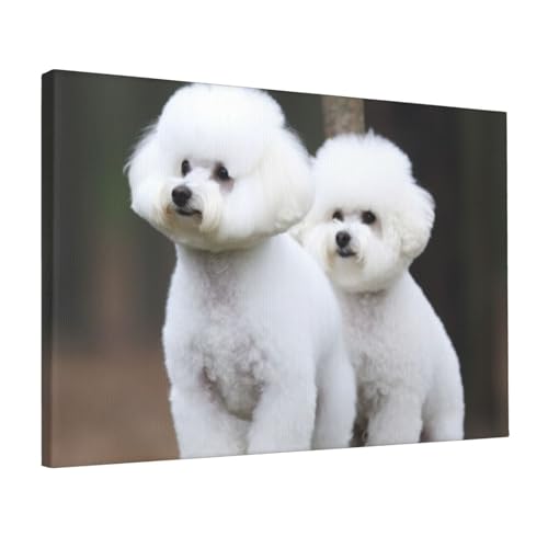 Toile murale vintage Bichon Frisé, le cadeau idéal pour amoureux des chiens