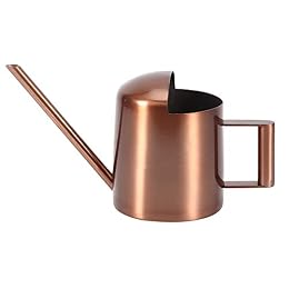 TITA-DONG 300ml Watering Can, Small Stainless Steel Vintage Watering Pot for Home Use, Modern Garden Flower Watering Tool, Long Spout Sprinkling Pot for Indoor Plants Garden Flower