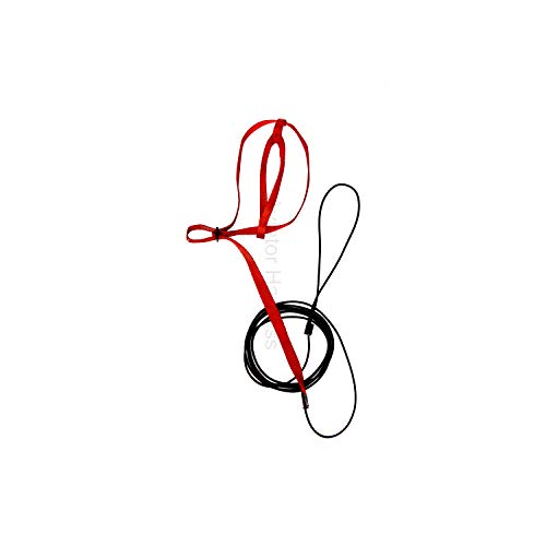 Image of The AVIATOR Pet Bird Harness and Leash: X-Small Red