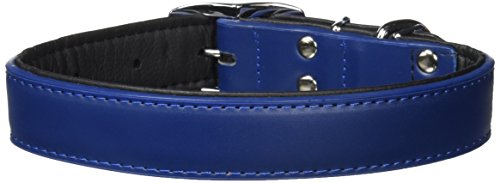 A[XybgTK DSWv 30(^p) 