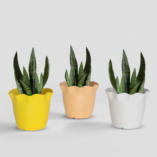 Image of YUCCABE ITALIA SHERA 8 Inch Plastic Flower Pot 3 Piece Set of Unbreakable Round Shape Planter for Home Garden Seedling, Indoor and Outdoor (Multicolor)