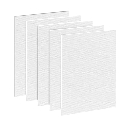 Set de 5 Lienzos Para Pintar, Bastidor Para Lienzo 40x50 cm, Tela Blanca 100% Algodon Sin àCidos, Lienzos De Pintura AcríLica Para Artistas, Aficionados, Principiantes Y NiñOs Para AcríLico, Acuarela
