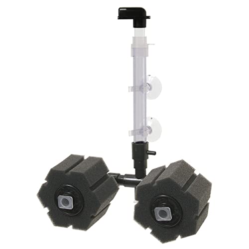 `CX GtoCIX S-Q-W X|WtB^[ zՃ^Cv _uX|W