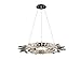 Avenue Lighting HF3027-PN Aspen Collection Hanging Chandelier