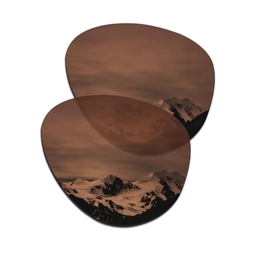 SmartVLT Lentes de reposição unissex marrom âmbar para óculos de sol Ray-Ban Aviator RB3025 55 mm