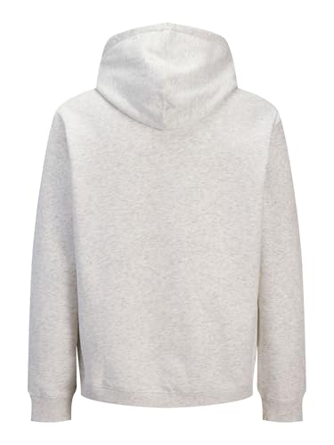 JACK & JONES Jjalliance Sweat Hood – Ansicht 4