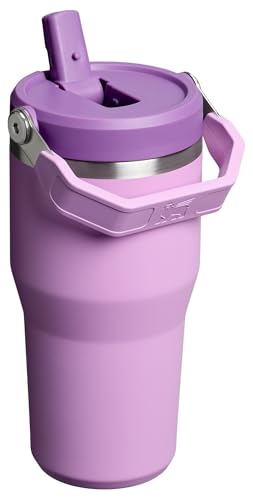 Image of STANLEY IceFlow 2.0 Flip Straw Tumbler with Handle 20 oz | Twist On Lid and Flip Up Straw | Leak Resistant Water Bottle | Insulated Stainless Steel | BPA-Free | Lilac