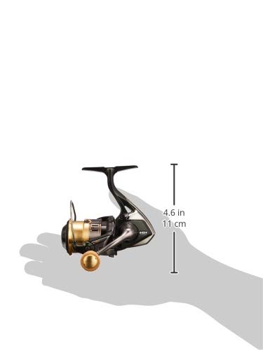 SHIMANO Cardiff CI4+ 1000S, pojedynczy rozmiar : Amazon.pl