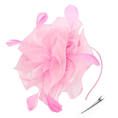 Image of DRESHOW Fascinators Hat Feather Headband Women's Fascinators Tea Party Headwear with Clip Flower Head Band for Girls & Women