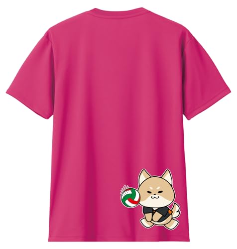 [HAYASAKA] yzyV[uzyC^AJ[zo[{[ TVc  hCTVcy00300znCL[yWjA`lzhCf z K zbgsN SSTCY