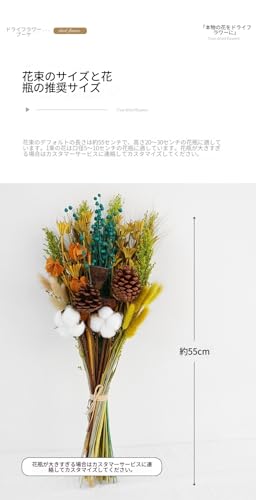 BtcFu ドライフラワーブーケ 天然本物の花材を使用した自然乾燥仕様 手作り仕上げインテリア装飾 ミニマルでクリエイティブなデザイン メンテナンス不要で長期間美しい姿を維持 豊富なデザインラインナップから選択可能 リビング・玄関・寝室・オフィスなど幅広い空間に対応 (11) [2]
