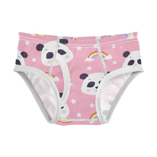 CHIFIGNO Cute Panda Rainbow Pink Briefs for Boys Soft Cotton Underwear Toddler Boys Printed Underwear Briefs