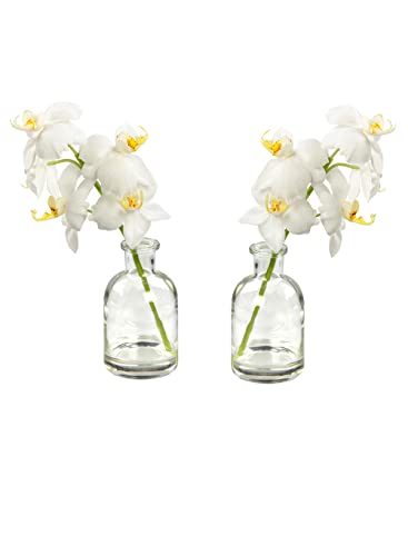 Serene Spaces Living Set of 2 Faux White Phalaenopsis Orchid in Glass Bottle, Modern Home Décor, Realistic Floral Decorations for Living Room, Bedroom, Wedding Tablescape, 2.5