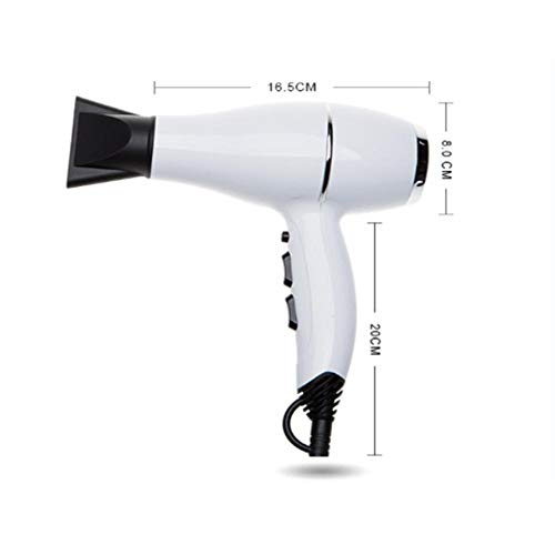 Profi- Ionen-Haartrockner Ferninfrarot-Heizung, Modellierwerkzeug-weiß