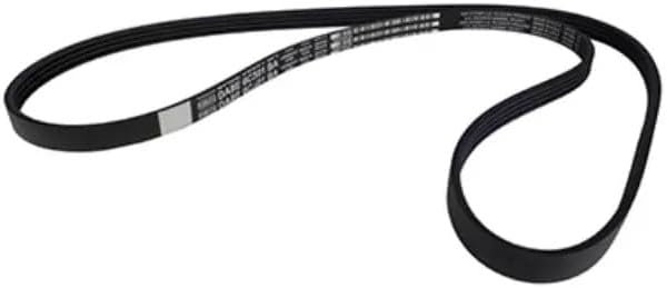 Motorcraft Drive Belt