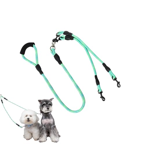 Generisch Doppelte Hundeleine Türkis-Grün