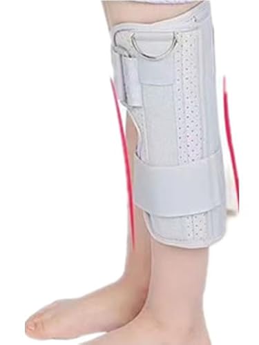 qŒqGT|[^[qGŒNv܃NvGƑŒGT|[^[ (M)