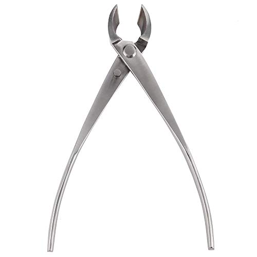 Coupe-branches professionnel bonsaï pour éviter les mauvaises cicatrices - 2