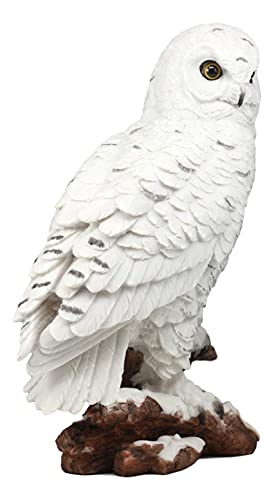 Ebros Gift Mystical White Snow Owl Bird Perching On Tree Branch Statue 12.25" Tall Nocturnal Bird Wildlife Owls Sculpture Figurine