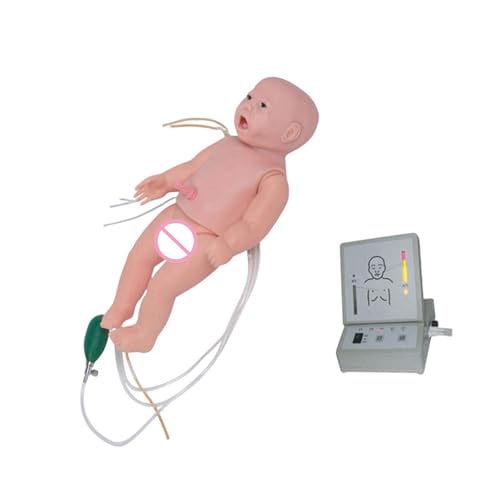 IȐVPA CPR V~[^[IȈÃg[jOƋً}ΉXL\zc CPR g[jO}lL