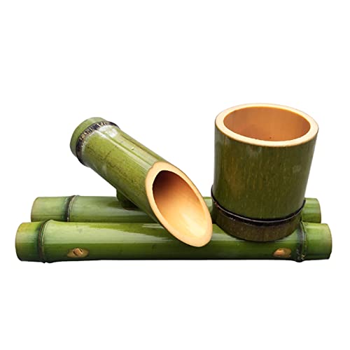 Bambus Wasserspiel Die 15 besten Produkte im Vergleich haushaltund