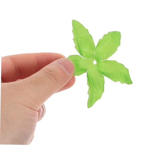 30 piezas tallos receptáculo para flores secas miniatura 4