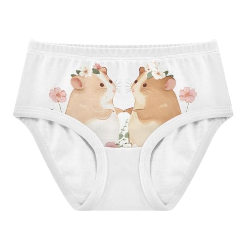 ALAZA Toddler Girls' Cotton Hipster Underwear Soft Hamster Garden 2 Pack 2T
