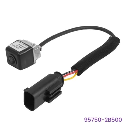 Caméra de recul grand angle pour Santa Fe 2010-2012 avec vision nette