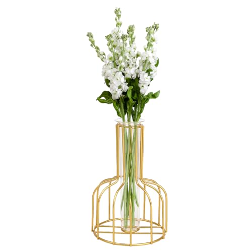 KyeeaDIY Jarrón de flores con marco de metal, jarrón de hierro dorado, estación de propagación de plantas, tubo de ensayo de escritorio, jarrones hidropónicos, soporte para plantas para flores, bodas,
