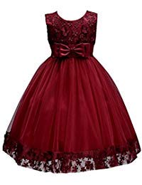 Flower Girl Lace Dresses Pageant Party Baby Sleeveless Floral