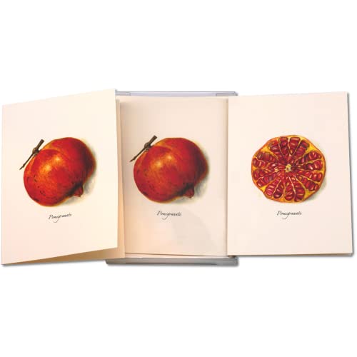 Image of Earth Sky + Water - Pomegranate Assortment Notecard Set - 8 Blank Cards with Envelopes (4 each of 2 styles)