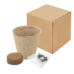 DISOK Biologisch Abbaubare Blumentöpfe mit Samen