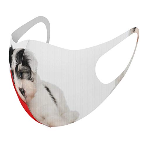 [X}R] fUC }XN QZbg |GXe 􂦂 z}XN XLTCY 傫 jp 002793   ʐ^