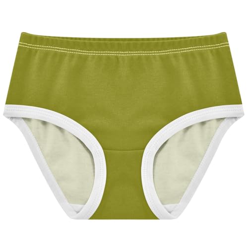 Joisal Artistic Toddlers Underwear Floral 2t Cotton Panties Little Girl Olive Green Undies Kids Briefs