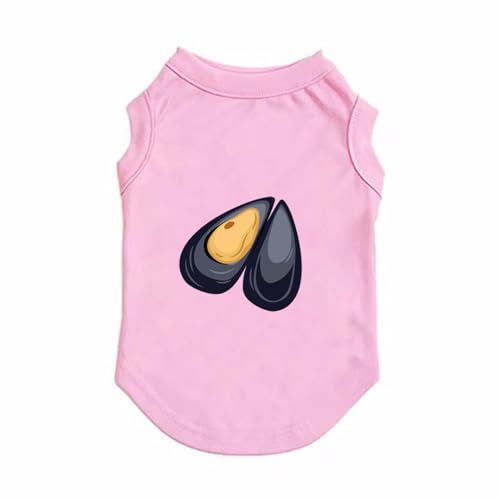 [XANPYO] ybg t sN   ^ ^    ʋC Lk _炩  xXg L q ^p ybg  M hbOEFA vI[o[   їh~ ʐ^Be