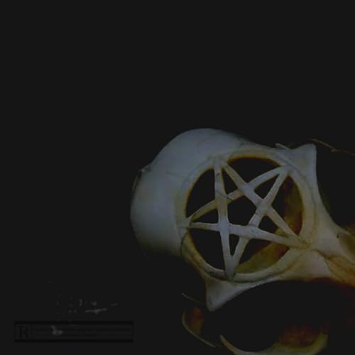 SIAHhighashell feat. Slayt