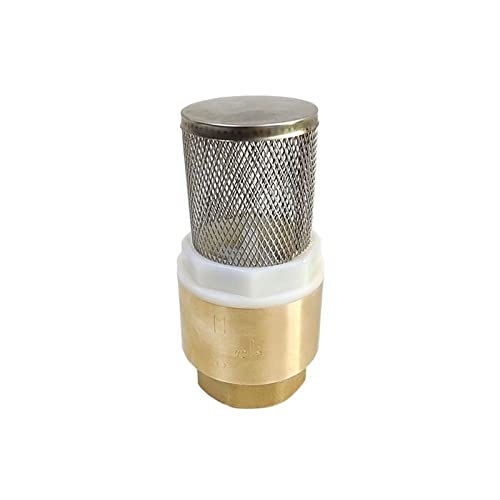 Válvula de retención de 1/2" para bomba de agua con filtro térmico y de presión 2