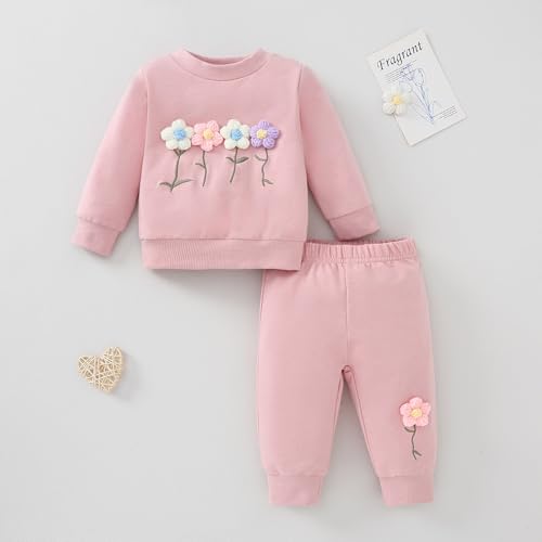 Toddler Girl Fall Winter Clothes Baby Crewneck Floral 3D Embroidery Sweatshirts Pants Set Long Sleeve Outfits Set2