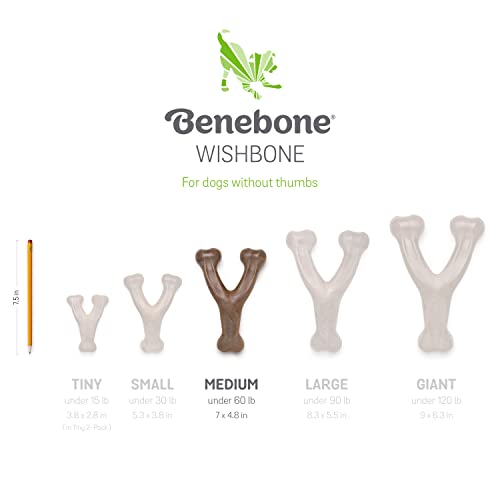 Benebone Wishbone per Cani al Gusto di Pancetta