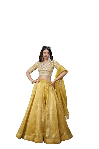 Image of LooknBook Art Womens Women Lehenga Choli