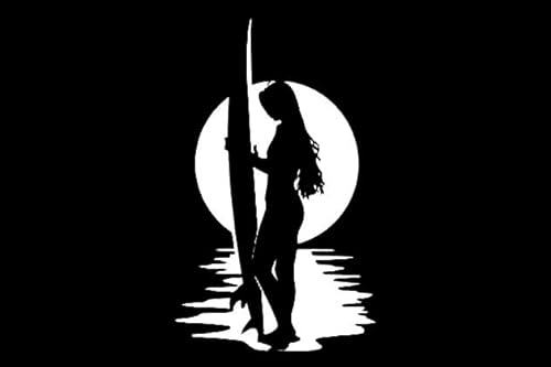 T[tB   XebJ[ oCN ec17cm JbeBOV[g XebJ[