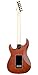 ESP LTD SN-1000 EverTune Koa Electric Guitar - Natural Stain