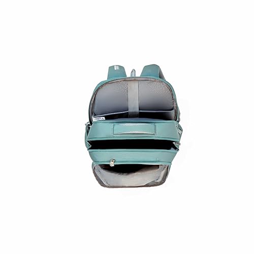 Image of American Tourister Brett 4.0 | 31 Ltrs | 3 Compartments | Bottle Pocket | Ergonomic Padded Back Panel & Shoulder Straps | Laptop Backpack | 1 Year International Warranty | Fern Green