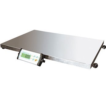 Adam Equipment CPWPLUS 75L Industrial Scale, 165Lb/75kg x 0.05Lb/20G, 115 V