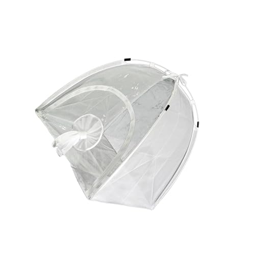 Recinto de PVC transparente para hábitat de orugas y kit de observación escolar 3