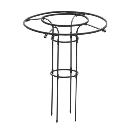 gX o |x IxXN E[Y IxXN gȒP \ K[fjOԎxI PAgX  ͔| AT|[g 鐫A 鐫ApK[f gX gX K[fjO [YgX |x  